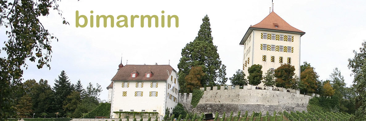 bimarmin
